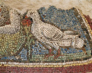 Een duif. Mozaïek van de hellinghuizen in Efeze, Turkije