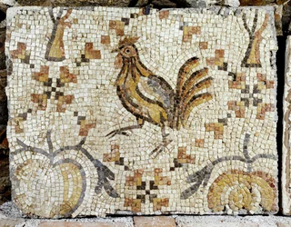 Een eend, detail van de bestrating van het bad in Tiberias (mozaïek)