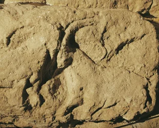 Vechtende rammen (stenen reliëf)
