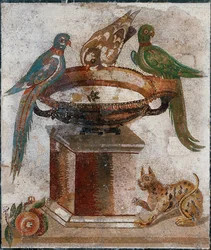 Vogels drinken uit een vogelbad