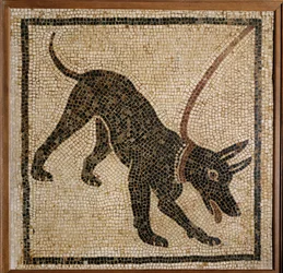 Cave Canem - pas op voor de hond, drempelmozaïek uit Pompeii