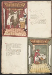 Volledige pagina: tekst en miniaturen: " Carne grande nostrana ingrasata " (miniatuur)