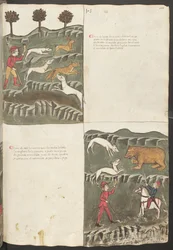 Volledige pagina: tekst en miniaturen: "Carne le lepore" - hazen- en vossenjacht: " Carne de orso " - berenjacht (miniatuur)