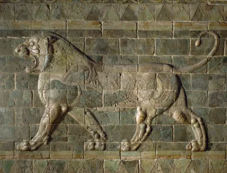 Leeuw, gekleurde geglazuurde tegels, uit het paleis in Susa, Iran ...