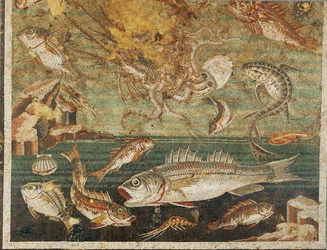 Zeefauna, vis, Huis van de Faun, Pompeii