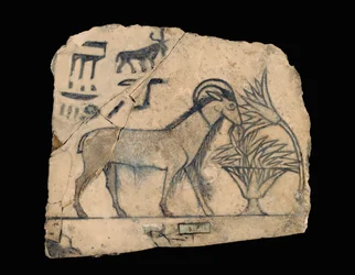 Ostracon met tekening van een ram ...