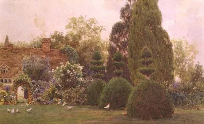 Kippen in een tuin