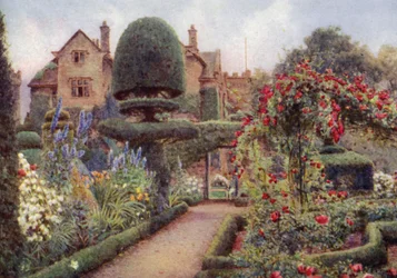 Riddersporen in de kruidachtige border bij Levens Hall