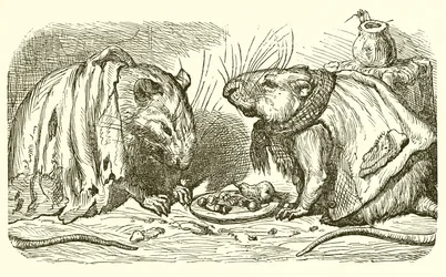 De Stadsmuis en de Landmuis