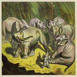De olifant die zijn staart verloor