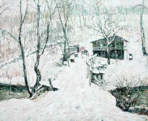 Landschap in de winter