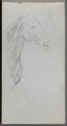Schetsboek, pagina 07: Studie van een paard