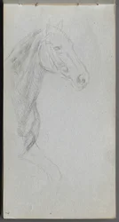 Schetsboek, pagina 07: Studie van een paard