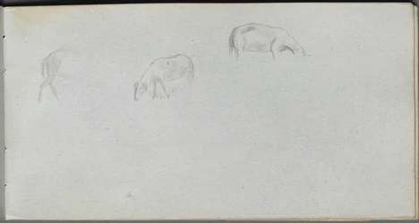 Schetsboek, pagina 20: Dierenstudie