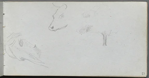 Schetsboek, pagina 53: Dierstudies en Boomstudie