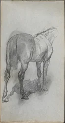 Schetsboek, pagina 76: Studie van een paard