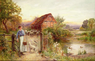 De schapen thuisbrengen