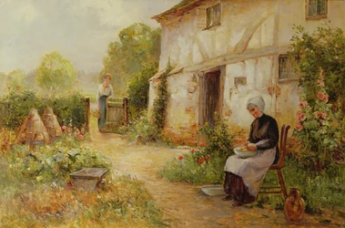 Aardappelen Schillen
