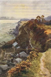 Steephill Cove