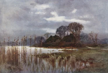 De Molen Vijver, Beaulieu