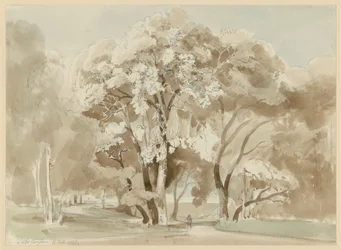 Bomengroep in het park van Villa Borghese in Rome
