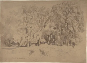 Bosrand bij Frascati