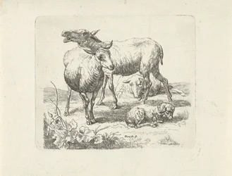 Drie schapen en een lammetje in een weide