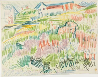 Bloemenweide met huizen