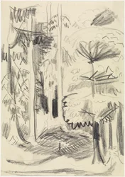 Gemengd bos