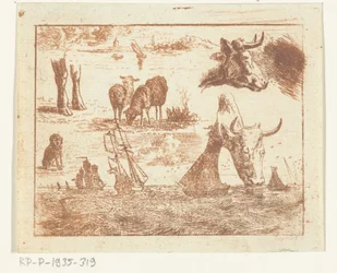 Studieblad met een zeegezicht, twee koeienkoppen, schapen, een hond en twee poten
