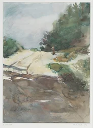 Zandweg door bosrijk landschap
