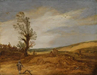 Uitzicht in de duinen