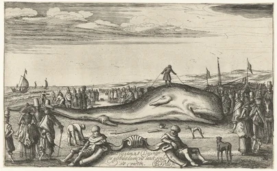 Gestrande potvis op het strand te Noordwijk, 1614