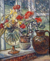 Geraniums