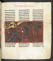 Or. 607 f051r, Scène uit het leven van de Maagd Maria, uit 