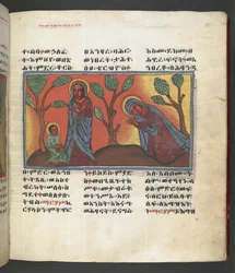 Or. 607 f174r, Scène uit het leven van de Maagd Maria, uit 