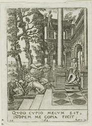 Narcissus