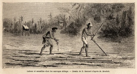 Ploegen en zaaien onder de wilden Stiengs, inwoners van de bossen van Cambodja, tekening door E.Bocour, ter illustratie van de reis van Henri Mouhot door de koninkrijken Siam, Cambodja en Laos van 1858 tot 1861. Gravure in "Le tour du monde", uitgegeven