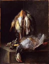 Dode Vogels