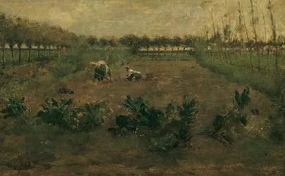Veldwerk