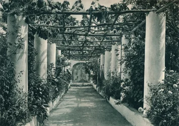 Pergola in een wijngaard, Capri, Italië, 1927