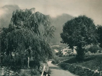 Weg naar kasteel Tirol, Merano, Zuid-Tirol, Italië, 1927