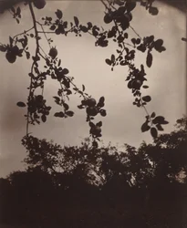 Appeltak, 1922/1923 (foto)