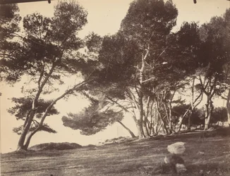 Cannes, Ile Saint Honorat, ca. 1899-1927 (foto)