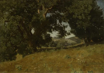 Landschap