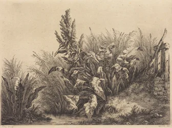 Waterzuring