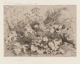 Klit in bloei, 1858