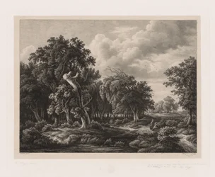 Groepen van verschillende planten getekend naar de natuur: Nr. 7