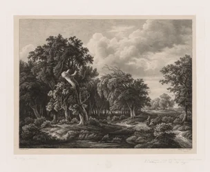 Groepen van verschillende planten getekend naar de natuur: No. 7