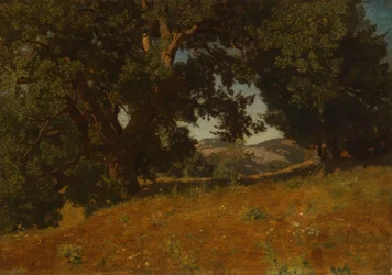 Landschap